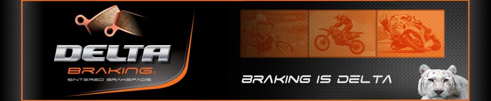 LOGO ACERBIS.jpg